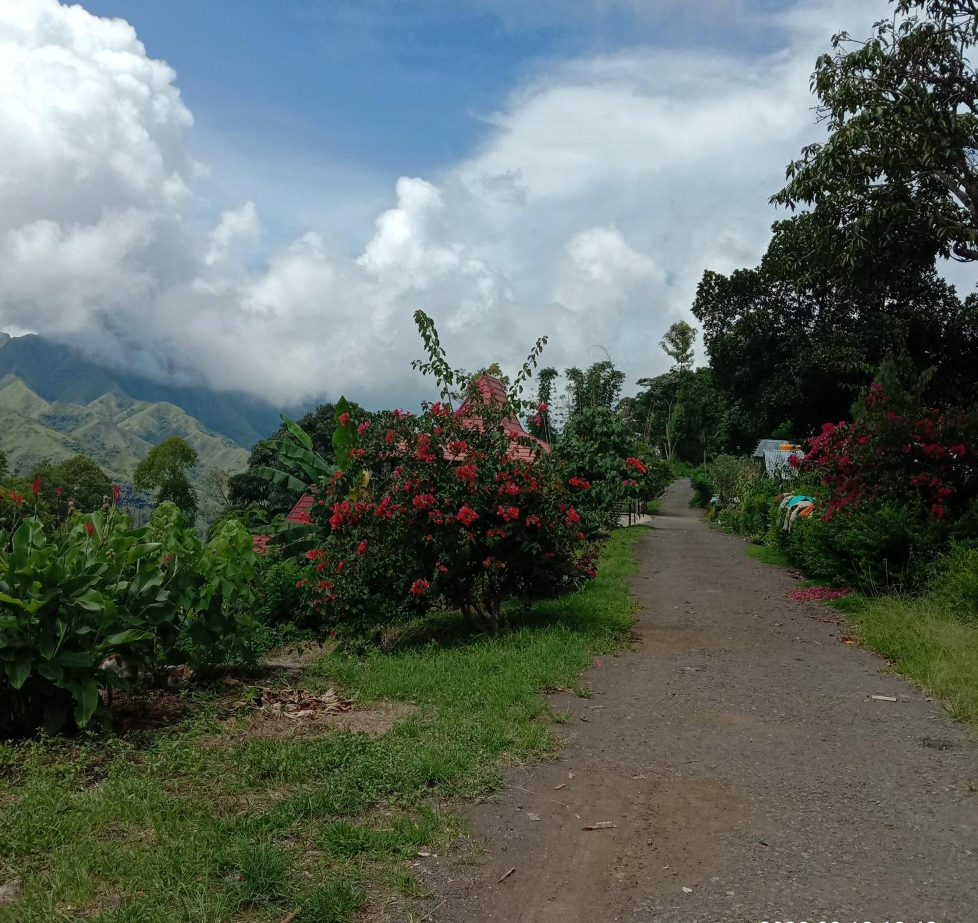 Home Stay Wolokoro Ecotourism Bajawa Cameră foto